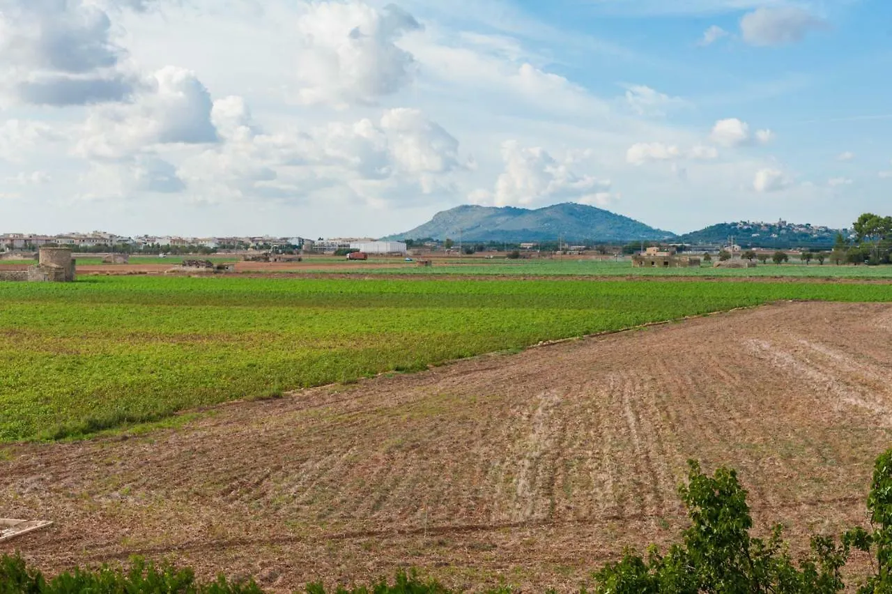 Villa La Romana Sa Pobla